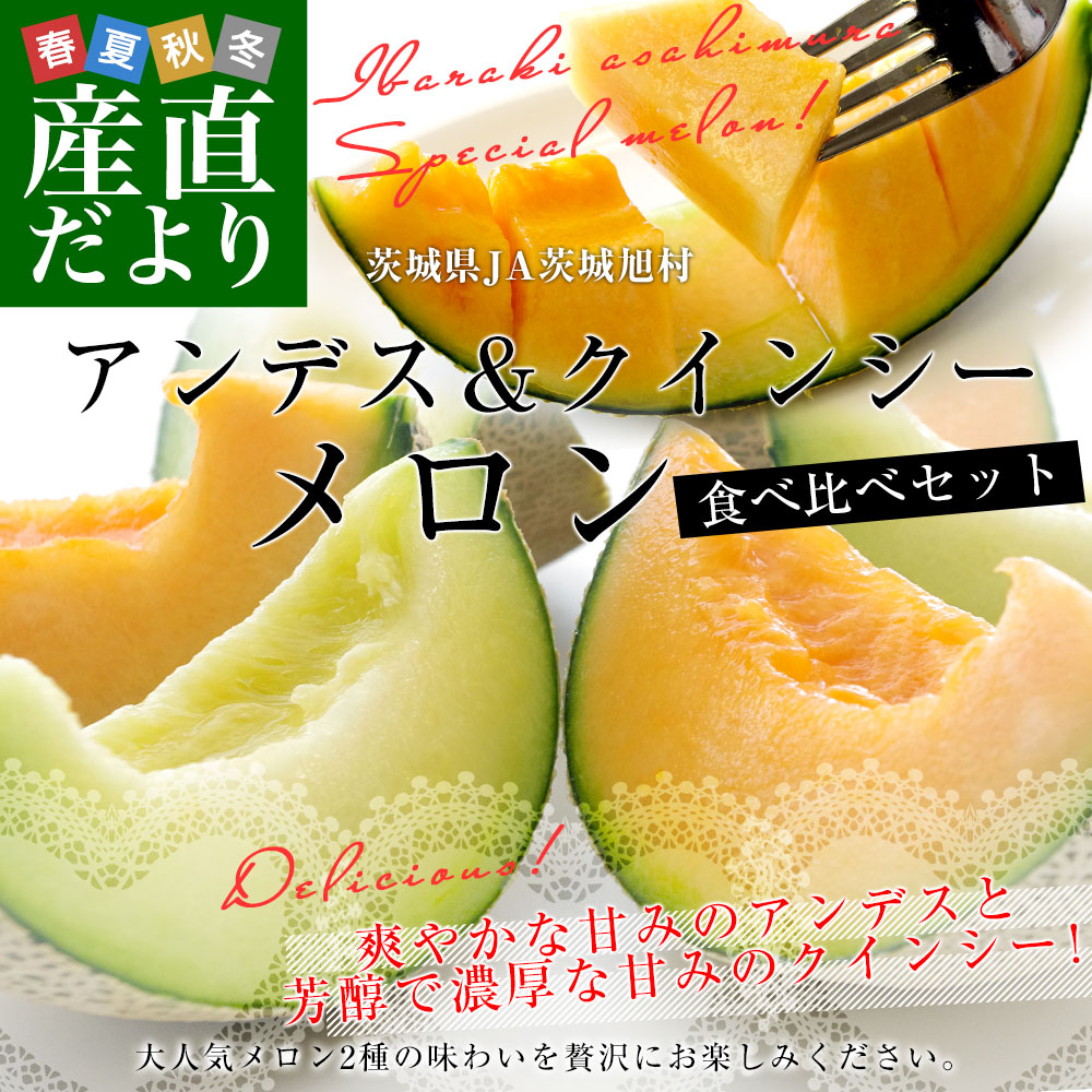 茨城県産 JA茨城旭村 アンデスメロン＆クインシーメロン 秀品 2玉