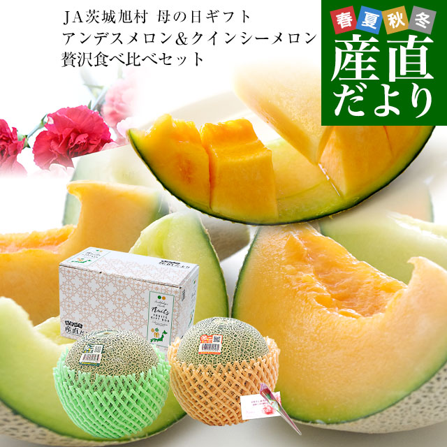 茨城県産 JA茨城旭村 クインシーメロン A品 約5キロ (3玉から4玉) 4L