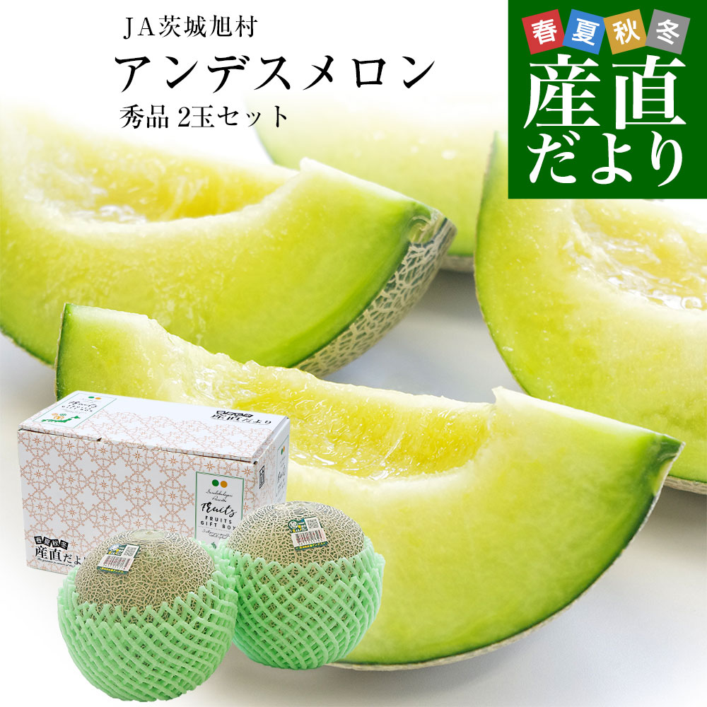 ��錧�Y JA��鈮�� �A���f�X������ �G�i 2�ʓ��� (���v��2�L��) 2L�T�C�Y �������� �� �߂�� ������