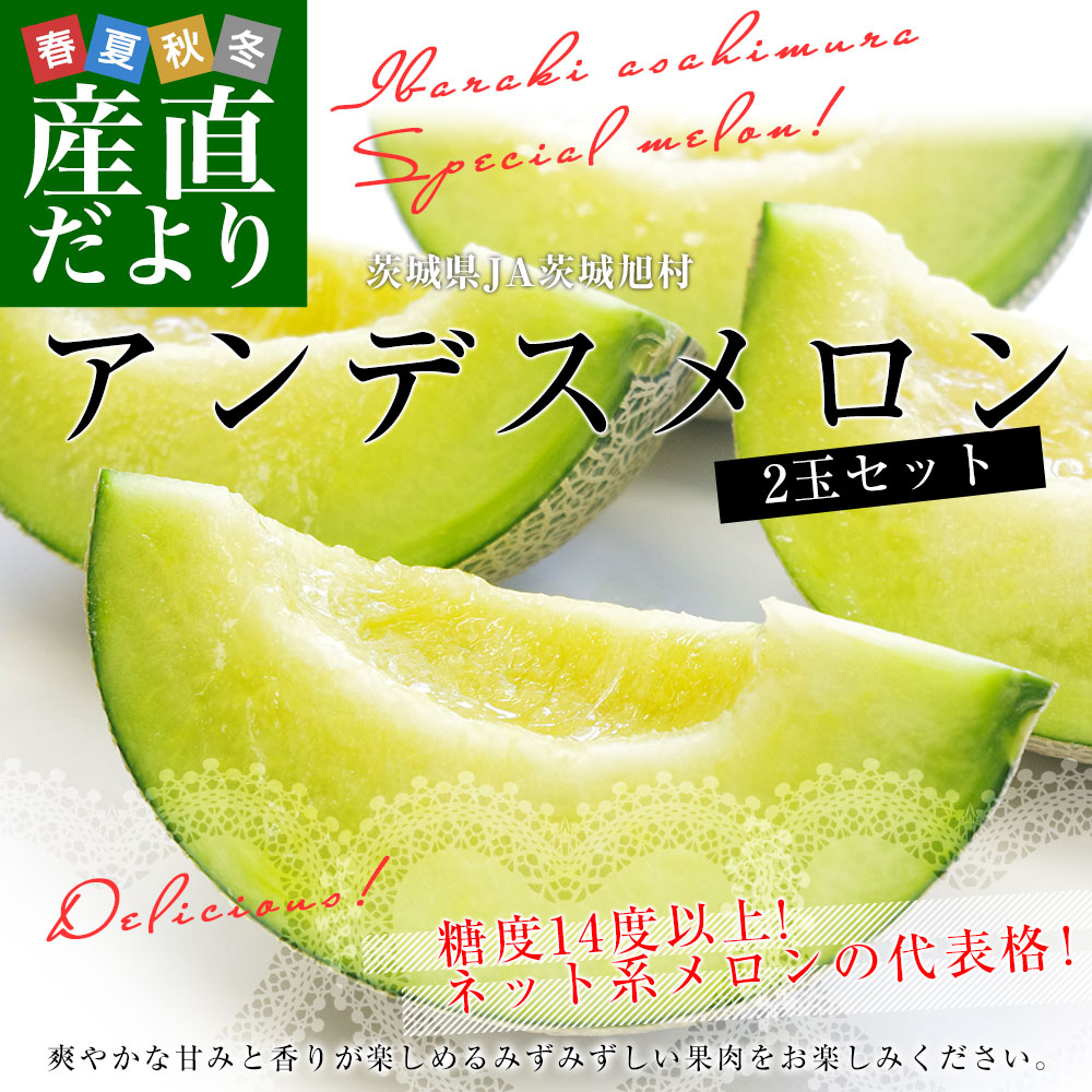 茨城県産 JA茨城旭村 アンデスメロン 秀品 2玉入り (合計約2キロ) 2L