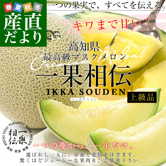 高知県産 最高級マスクメロン「一果相伝(いっかそうでん)」上級品 1玉