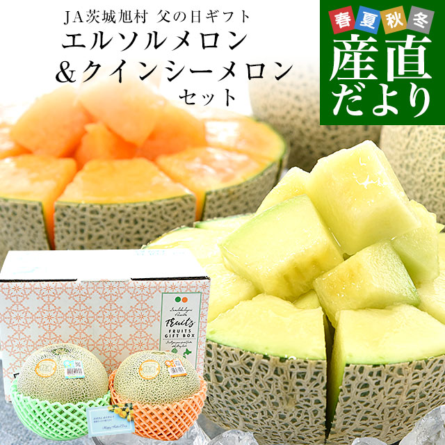 【遅れてごめんね父の日ギフト】茨城県産 JA茨城旭村 エルソルメロン&クインシーメロン 特秀品 大玉3Lサイズ 2玉セット (合計約2.5キロ) 送料無料 青肉 赤肉