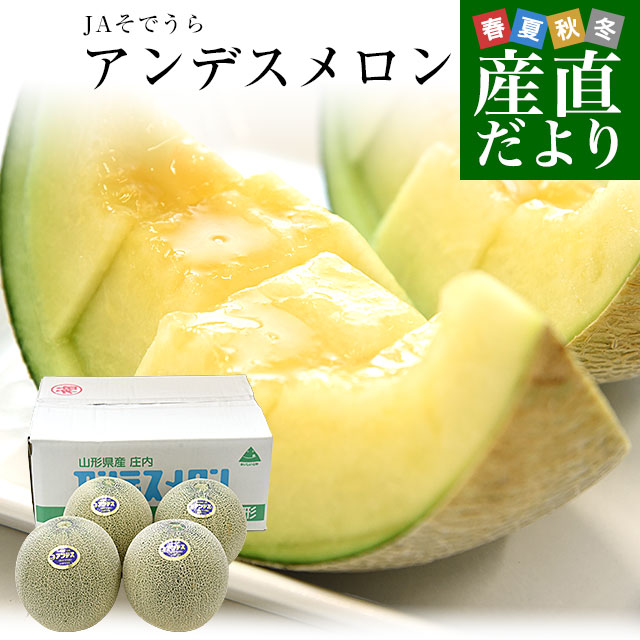 メロン 3Lサイズ 5玉入り 9kg 大玉 アールスメロン 家庭用 贈答も 山形県産 JAそでうら アンデスメロン 優品以上 大玉3Lサイズ 約5キロ