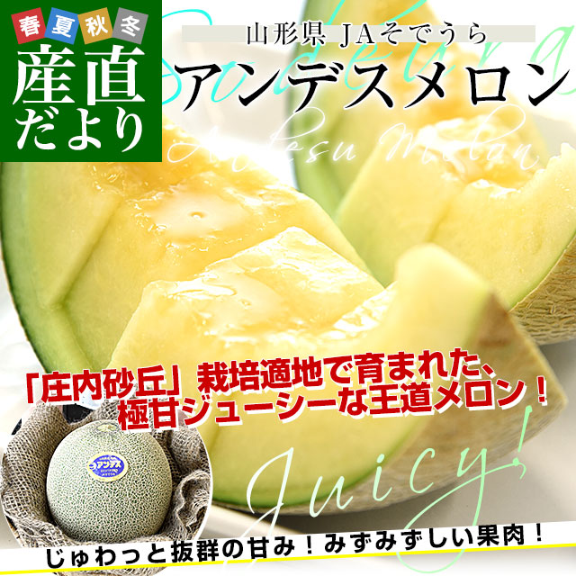 山形県産 JAそでうら アンデスメロン 優品以上 大玉3Lサイズ 約5キロ