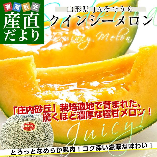山形県産 JAそでうら クインシーメロン 優品以上 大玉3Lサイズ 約5キロ