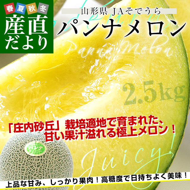 山形県産 JAそでうら パンナメロン 優品以上 大玉3Lサイズ 約2.5