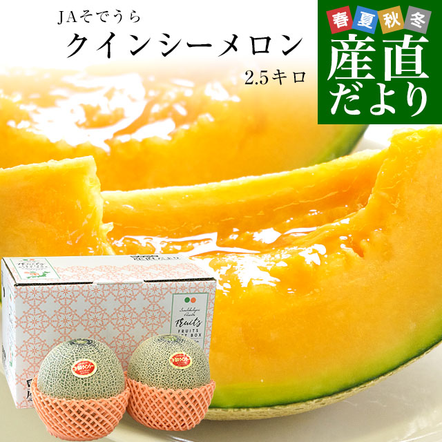 茨城県より産地直送 JA水戸ひぬま オトメメロン 大玉の4Lから3L