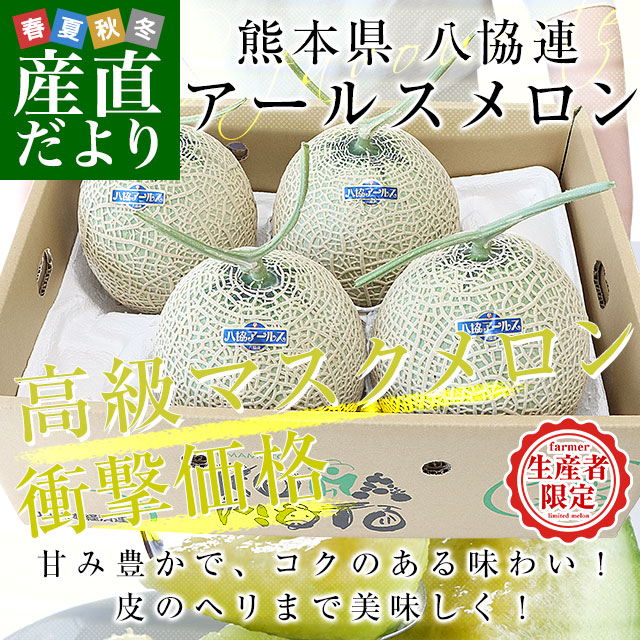 熊本県から産地直送 八協連 アールスメロン 超大玉8キロ原体箱
