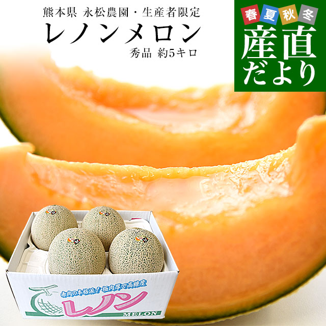 熊本県より産地直送 永松農園 レノンメロン 秀品 大玉3Lから2L 熊本県より産地直送 永松農園 レノンメロン 秀品 大玉3Lから2L