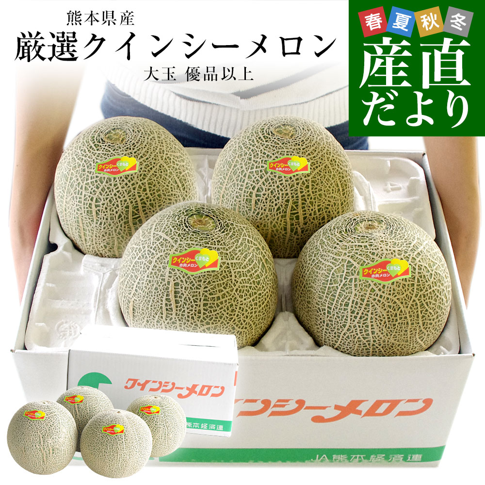 茨城県産 JA茨城旭村 エルソルメロン A品 大玉 4Lから3Lサイズ 約5キロ