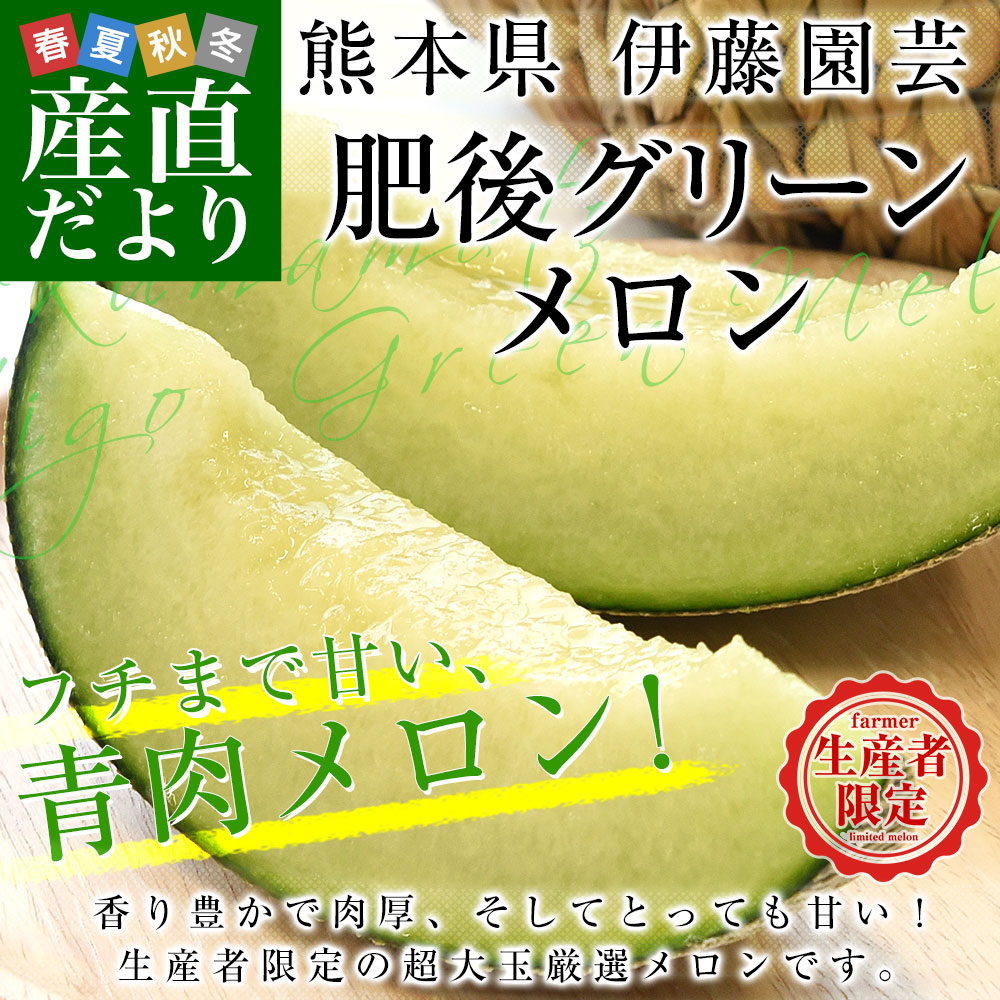 タロウ☆ 822823 熊本県産肥後グリーンメロン訳あり良品3Lサイズ 熊本県より産地直送 伊藤園芸 肥後グリーンメロン 秀品 超大玉 合計約5