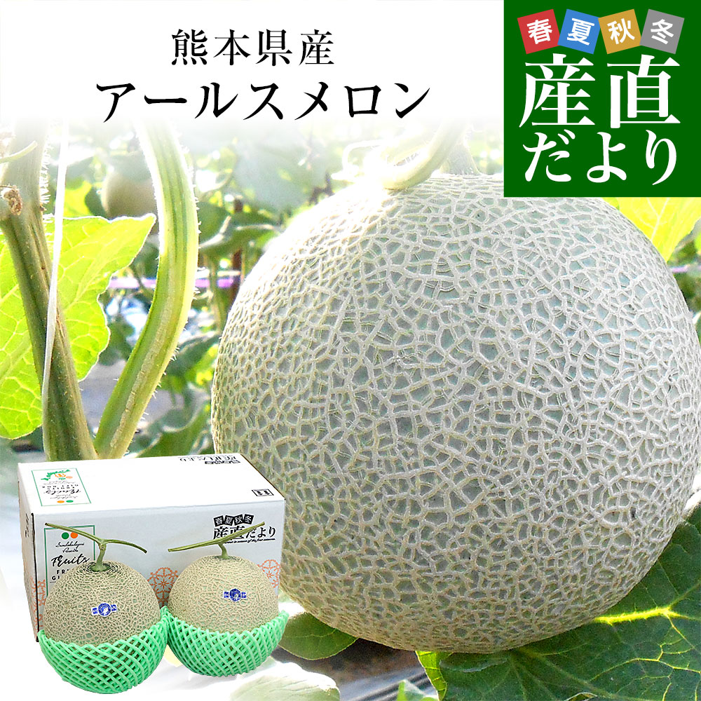 アールスメロン 2玉」の人気商品一覧・価格比較 - 価格.com