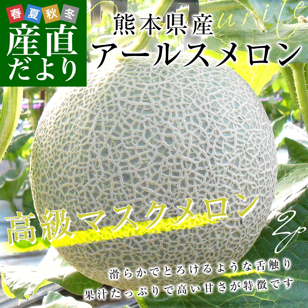アールスメロンの商品一覧 通販 - Yahoo!ショッピング