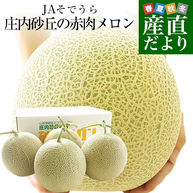 ⑤【茨城県産】　オトメ メロン(青肉) LAサイズ　6玉　約5kg ⑦【茨城県産】 オトメ メロン(青肉) LAサイズ 6玉 約5kg - メルカリ