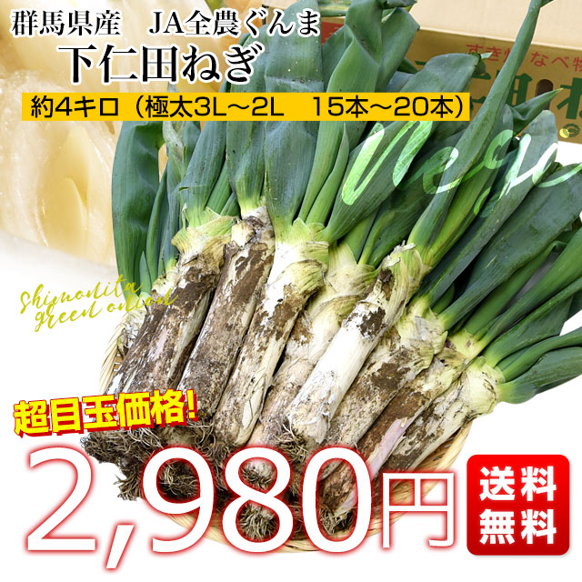 群馬県産 JA全農ぐんま 下仁田ねぎ 約4キロ（3Lから2L 15本から20本） 送料無料　市場発送 葱 ネギ 長ネギ しもにた クール便