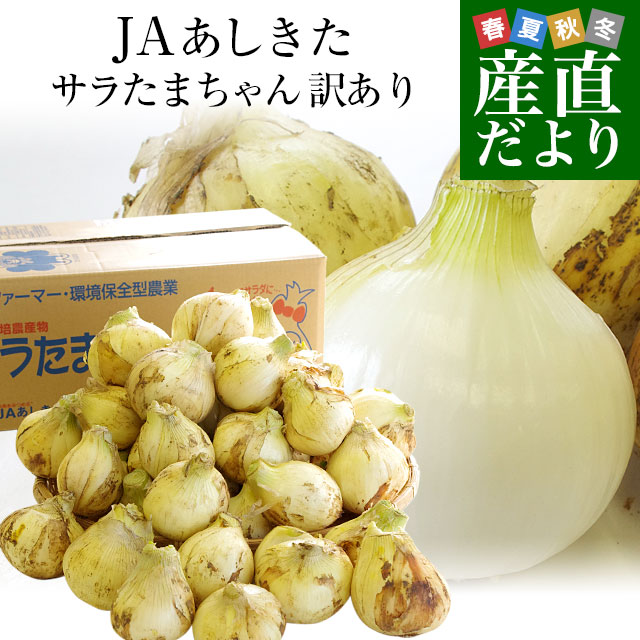 熊本県より産地直送 JAあしきた サラたまちゃん 規格外 (訳あり品) 約10キロ 送料無料 玉葱 タマネギ サラ玉 さらたま さらタマ｜sanchokudayori