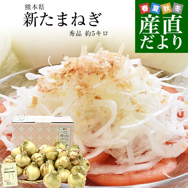 タマネギ 20kg」の人気商品一覧 | 安い商品を通販サイトから探す