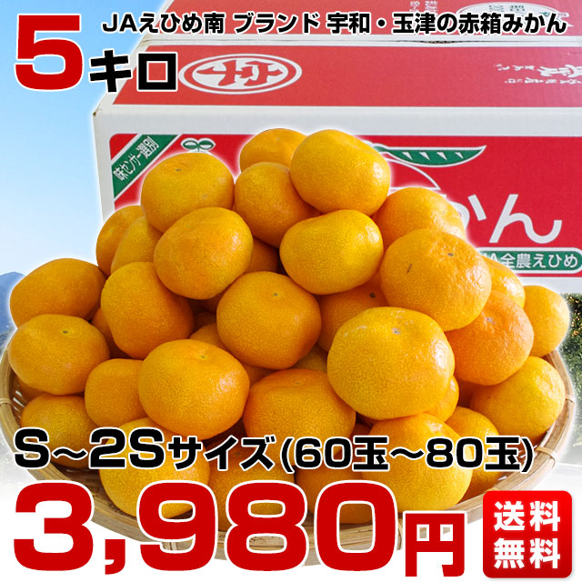 愛媛県より産地直送 JAえひめ南 玉津共選場 玉津の赤箱みかん 小玉 Sから２Sサイズ  5キロ  送料無料  蜜柑 みかん |  | 02