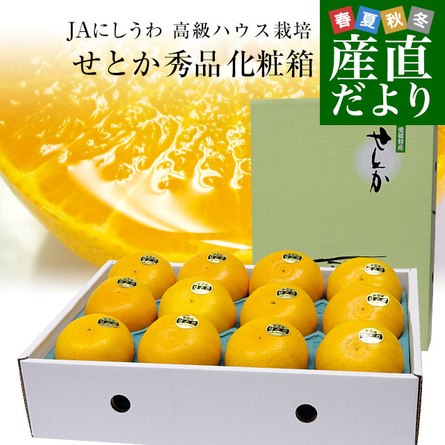 愛媛県より産地直送 JAにしうわ 高級ハウス栽培 せとか 秀品 3LからL