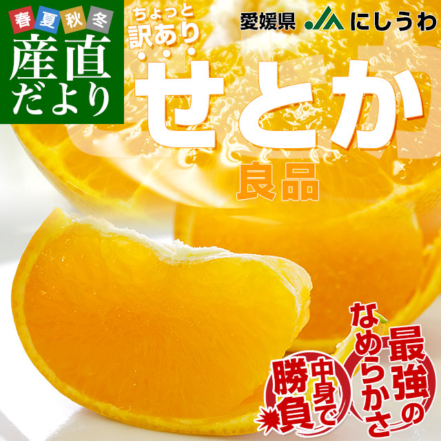 愛媛県 JAにしうわ せとか 良品 ちょっと訳あり 約2.5キロ 3LからL