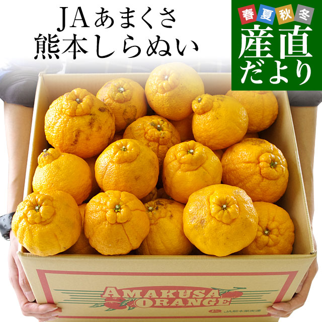 食品 ・ フルーツ ・ みかん、柑橘類 | infoseeds.com.br