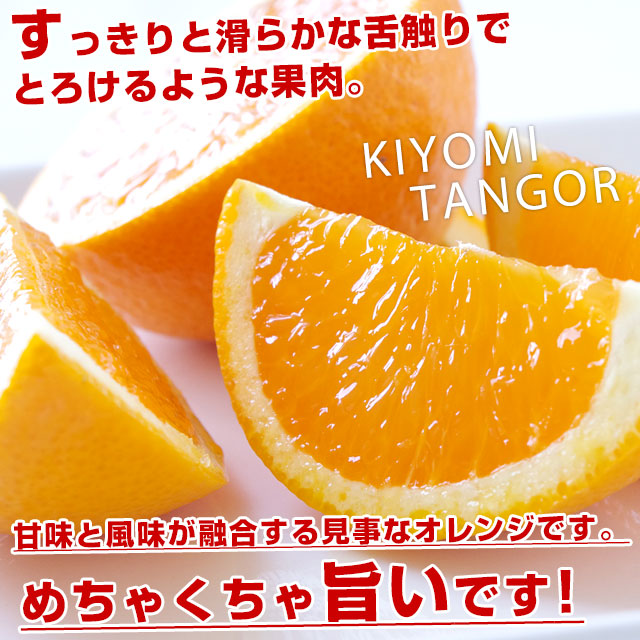 愛媛県産 JAにしうわ三崎共選 清見タンゴール 良品 3LからLサイズ 約3