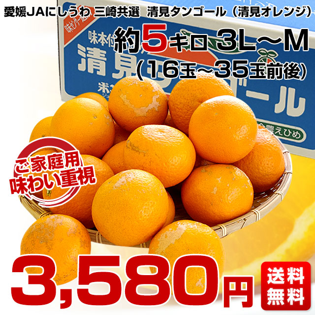 愛媛県より産地直送 JAにしうわ三崎共選 清見タンゴール （清見