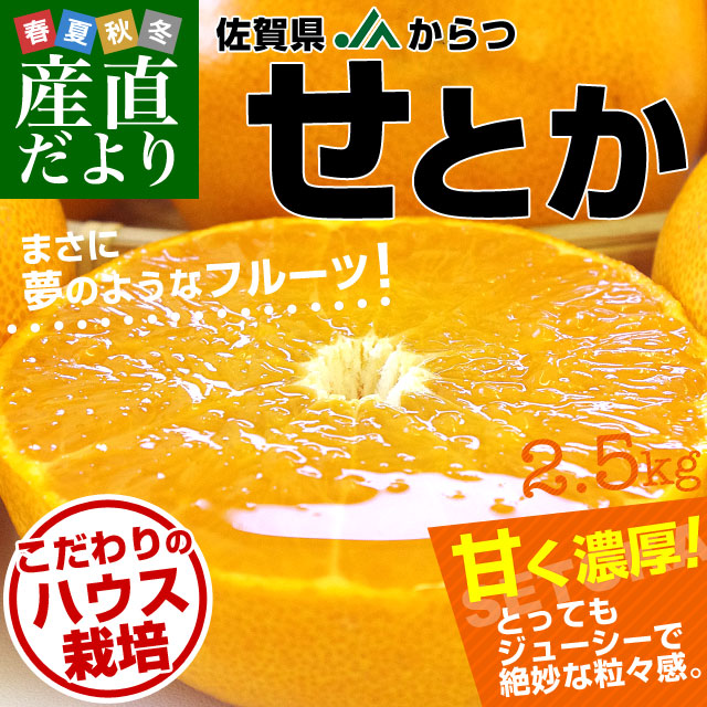 佐賀県より産地直送 JAからつ せとか 秀品 2.5キロ 化粧箱入(12から15玉) 送料無料 唐津｜sanchokudayori｜02