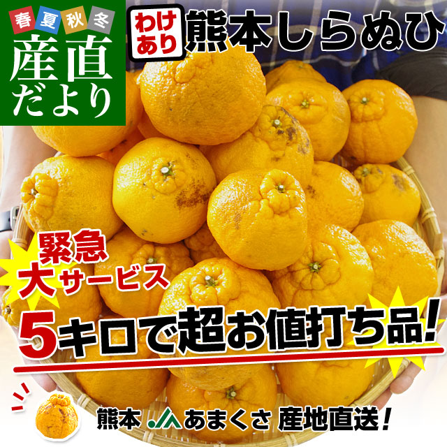 たみやまなで　熊本県産 あま～い はるか と不知火 熊本県産 不知火 ≪ 訳あり ≫ 12kg | フルーツ 果物 くだもの