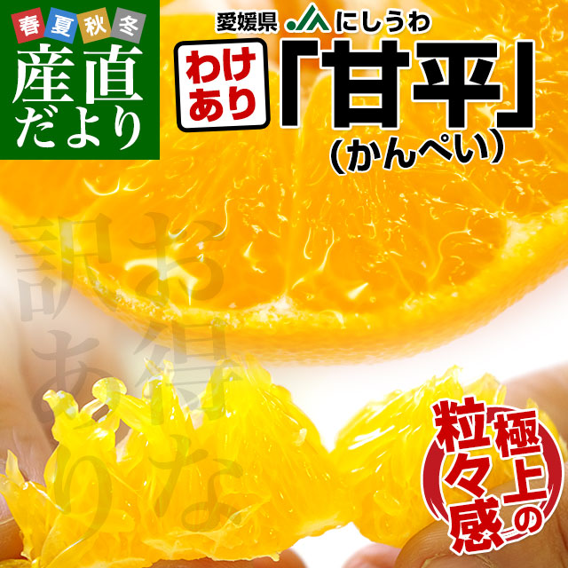 愛媛県産 JAにしうわ 訳あり甘平（かんぺい）5キロ 5Lから2L（12玉から26玉）市場スポット みかんミカン 送料無料 |  | 01