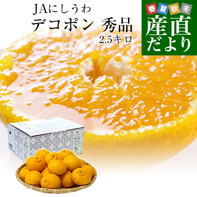 愛媛県 JAにしうわ デコポン 秀品  約2.5キロ 3LからLサイズ（9玉から12玉）でこぽん 柑橘 オレンジ 西宇和 八幡浜