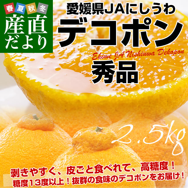 愛媛県より産地直送 JAにしうわ デコポン 秀品 3LからLサイズ 3キロ（10玉から15玉前後）でこぽん 柑橘 オレンジ 西宇和 八幡浜｜sanchokudayori｜02