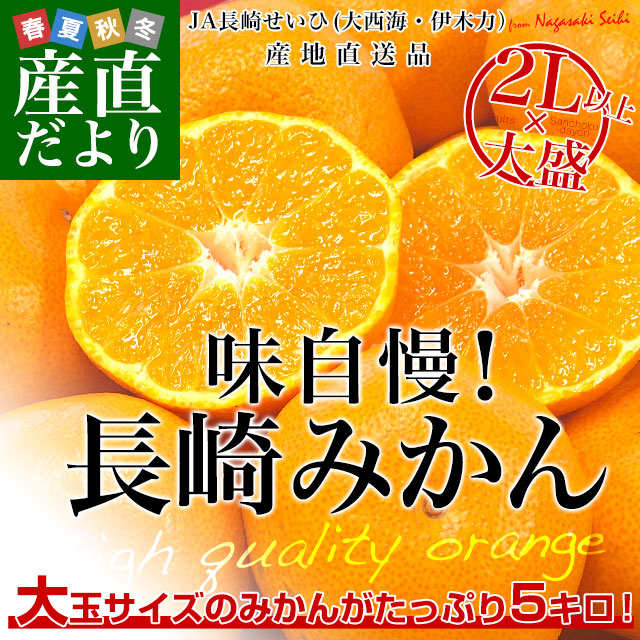 はるかみかん 2L 10キロ　長崎県産×2箱 先行予約＞＼数量・期間限定／池之上果樹園のはるか（みかん）10kg 箱