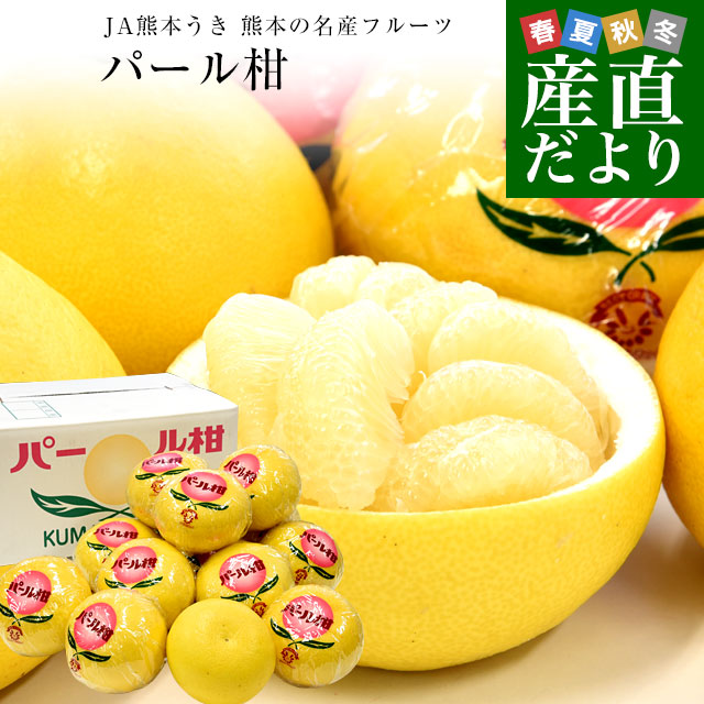 熊本県産 JA熊本うき パール柑 赤秀 10キロ 4Lから2L (14玉から