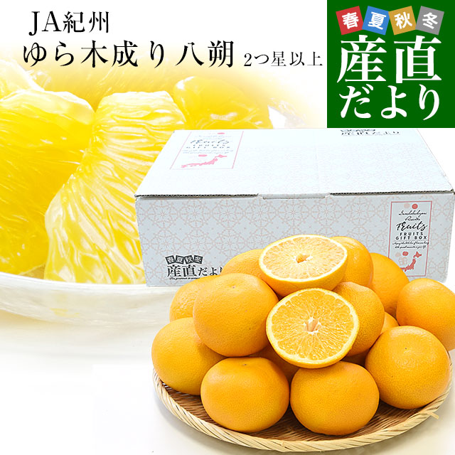 和歌山県 JA紀州 ゆら選果場 ゆらはっさく 木成り八朔 等級：2つ
