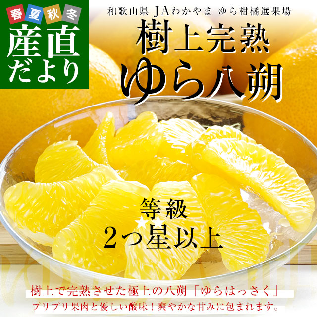 和歌山県産 JAわかやま ゆら選果場 ゆら八朔 等級：2つ星 2LからL