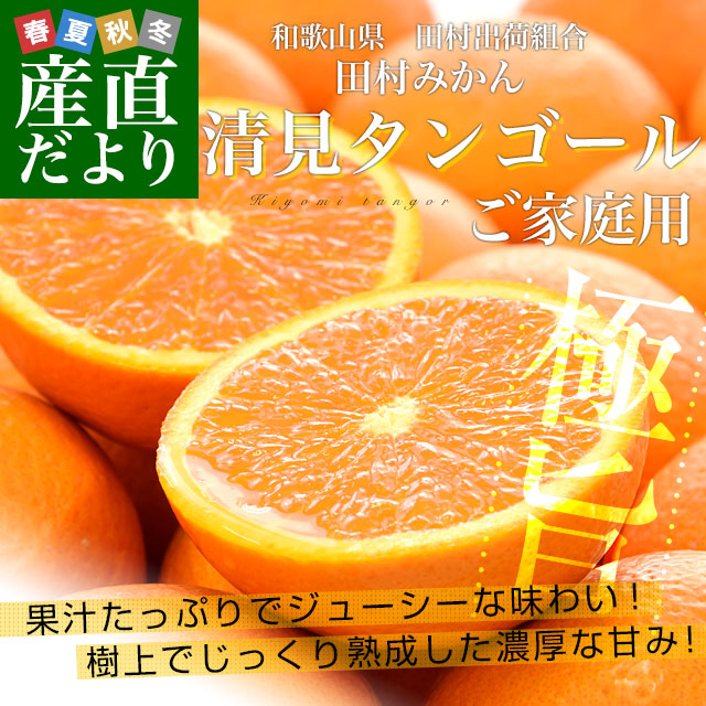和歌山県より産地直送 田村出荷組合 清見タンゴールご家庭用 2LからM