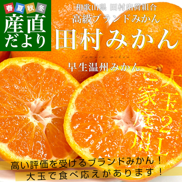 人気ブランドの新作 産直だより - 田村出荷組合｜Yahoo!ショッピング 和書