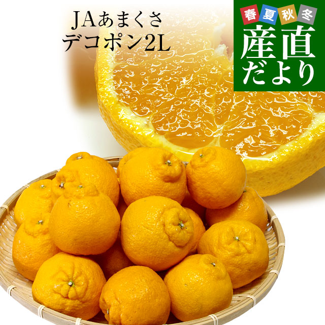 デコポン23kg㊾【熊本県産】中玉 デコポン23kg㊽【熊本県産】中玉