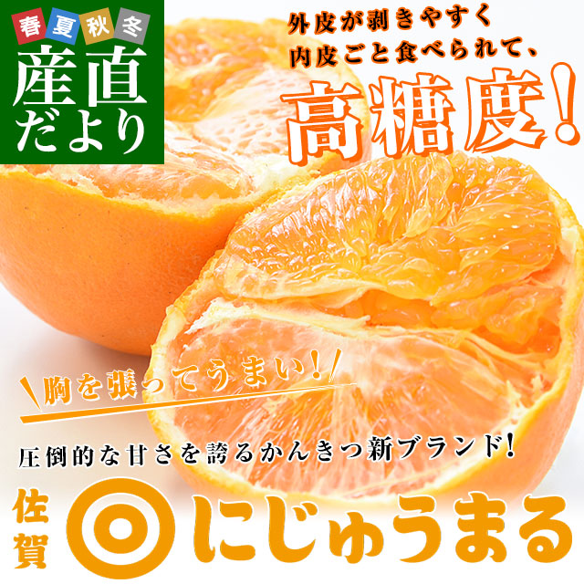 佐賀県より産地直送 JAグループ佐賀 にじゅうまる 4LからLサイズ 約5キロ（13玉から25玉前後) 送料無料 柑橘 二重丸 中晩柑 みかん from九州 |  | 01