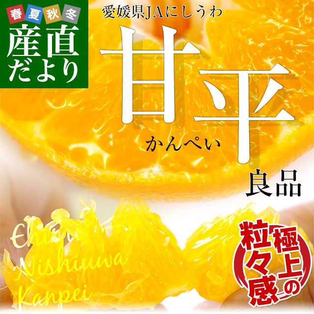 愛媛県より産地直送 JAにしうわ 甘平 (かんぺい) 良品 3LからL