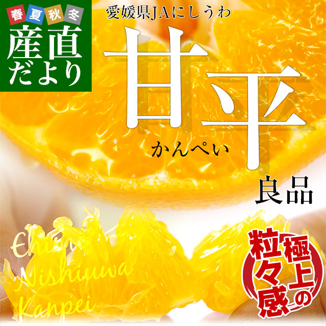 愛媛県より産地直送 JAにしうわ 甘平 (かんぺい) 良品 3LからLサイズ 5キロ (16玉から28玉) 送料無料カンペイ 西宇和｜sanchokudayori｜02