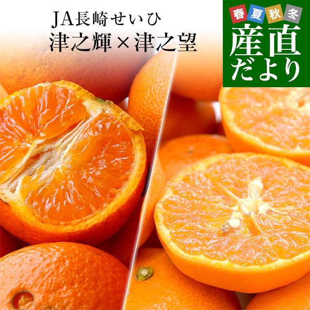 長崎県より産地直送 JA長崎せいひ 津之輝（つのかがやき）×津之望(つののぞみ) 優品以上 2.5キロ×2箱セット 柑橘 オレンジ 津の輝 津の望 from九州 | 
