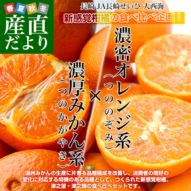 長崎県より産地直送 JA長崎せいひ 津之輝（つのかがやき）×津之望(つののぞみ) 優品以上 2.5キロ×2箱セット 柑橘 オレンジ 津の輝 津の望 from九州 |  | 01