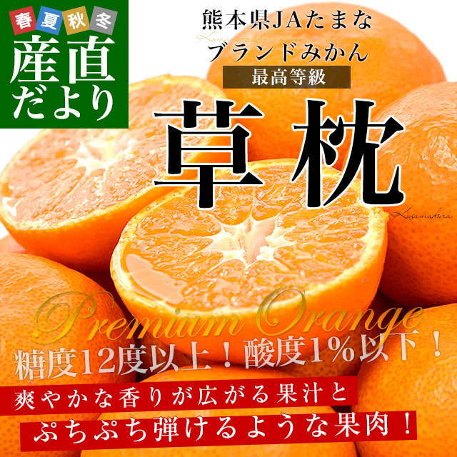 お歳暮 ギフト】熊本県 JAたまな ブランドみかん 最高等級：草枕 約4