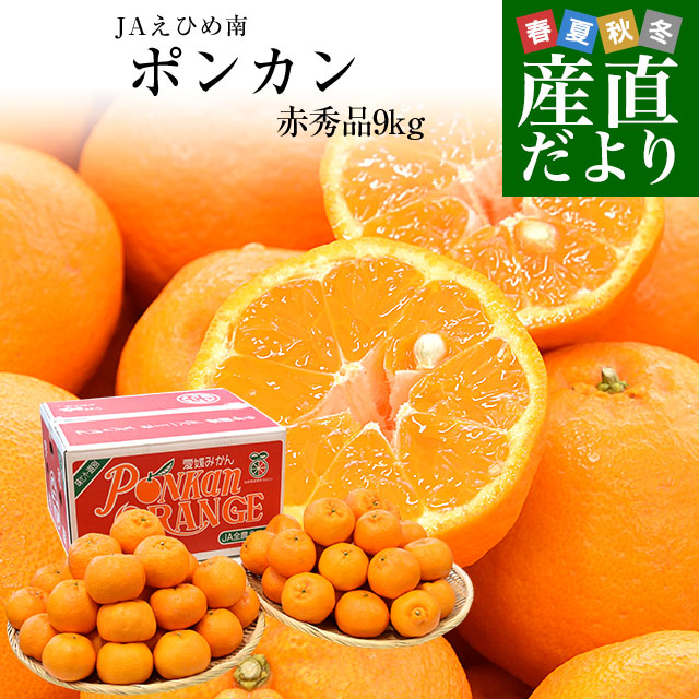 愛媛県産 JAえひめ南 ポンカン 赤秀品 2Lサイズ 約9キロ (60玉前後) 送料無料 柑橘 オレンジ ぽんかん 市場発送｜sanchokudayori