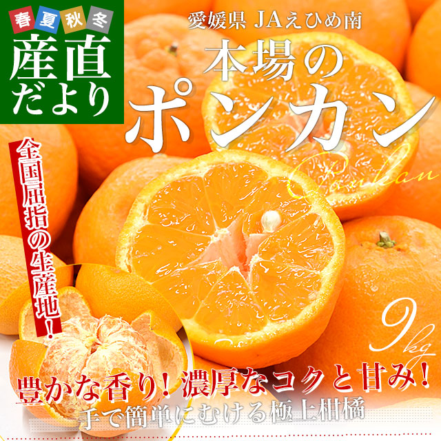 愛媛県産 JAえひめ南 ポンカン 赤秀品 2Lサイズ 約9キロ (60玉前後) 送料無料 柑橘 オレンジ ぽんかん 市場発送｜sanchokudayori｜02