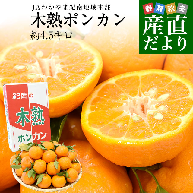 和歌山県産 JAわかやま紀南地域本部 木熟ポンカン 3LからL 秀品 約4.5