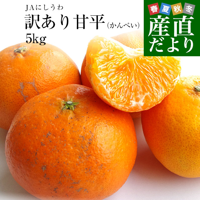 愛媛県産 JAにしうわ 訳あり甘平（かんぺい）5キロ 5Lから2L（12玉から26玉）市場スポット みかんミカン 送料無料