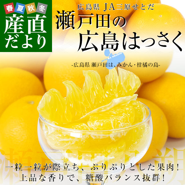 広島県産 JA三原せとだ 「瀬戸田の広島はっさく（八朔）」 優品以上 約10キロ ２Lサイズ （30玉前後）送料無料 柑橘 かんきつ 市場発送｜sanchokudayori